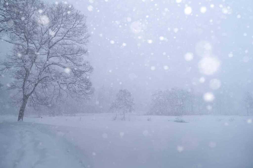 ストロボで撮影した雪景色