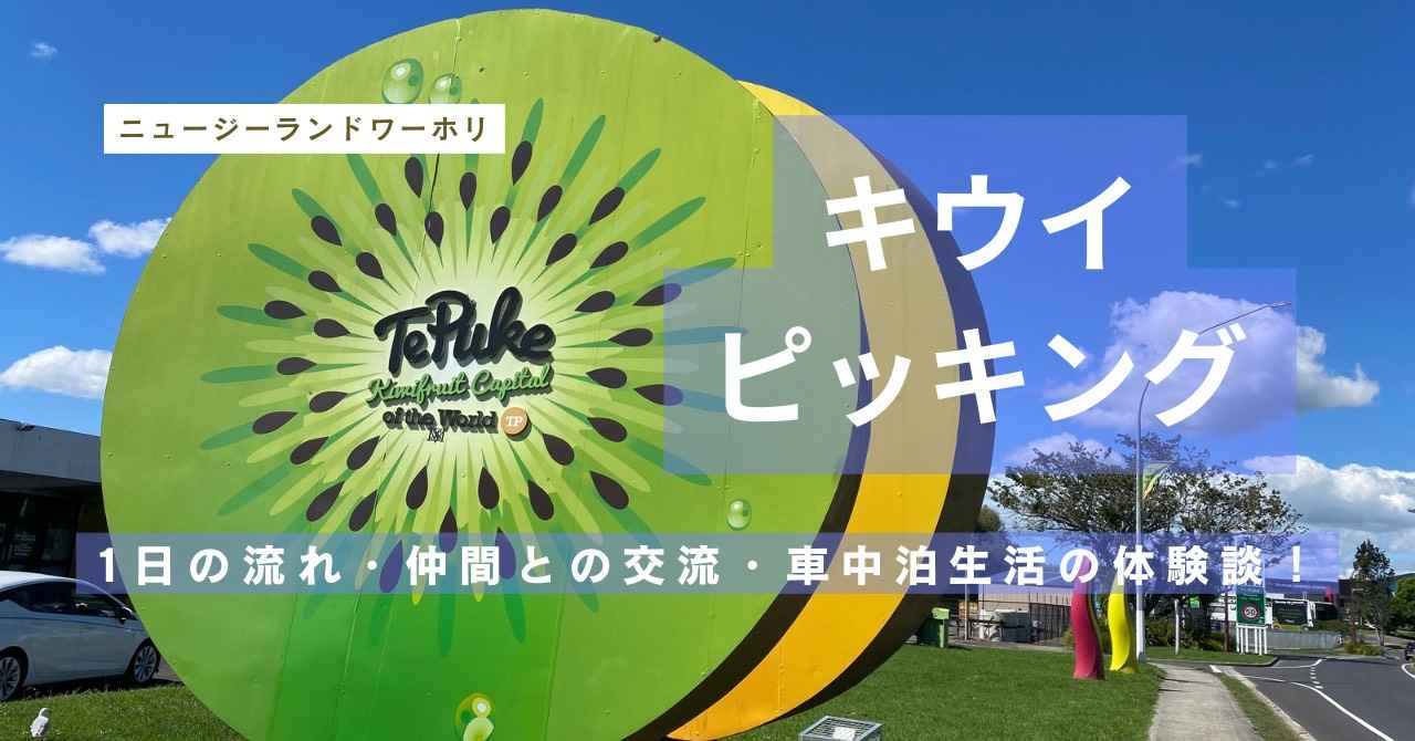 キウイピッキングの体験談