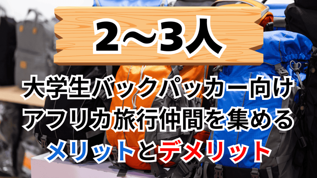 バックパッカー 大学生 アフリカ 人数