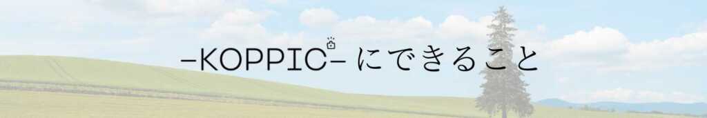 KOPPIC 業務内容
