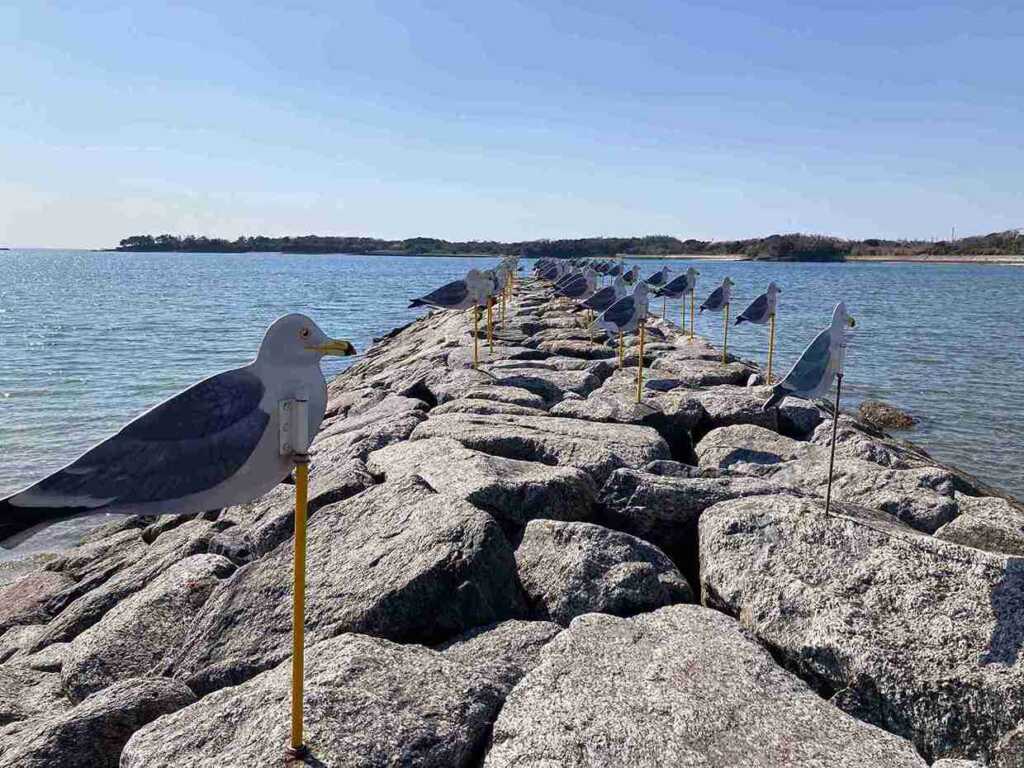 佐久島　カモメの駐車場